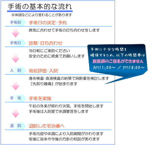 手術前の基本的な流れ