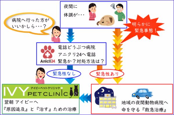 夜間の体調不良