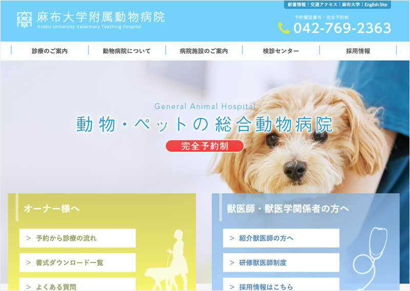 二次診療施設 アイビーペットクリニック 大和市中央林間の動物病院 腫瘍 がん 皮膚科 眼科 二次診療施設 アイビーペットクリニック 大和市中央林間の動物病院 腫瘍 がん 皮膚科 眼科