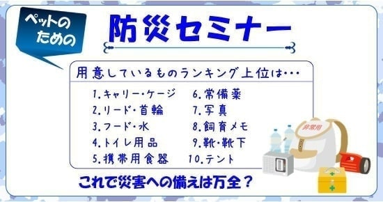 用意しているものランキング