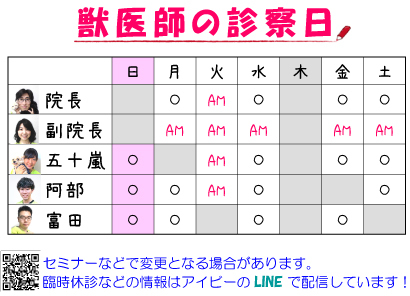 各獣医師の診察担当曜日