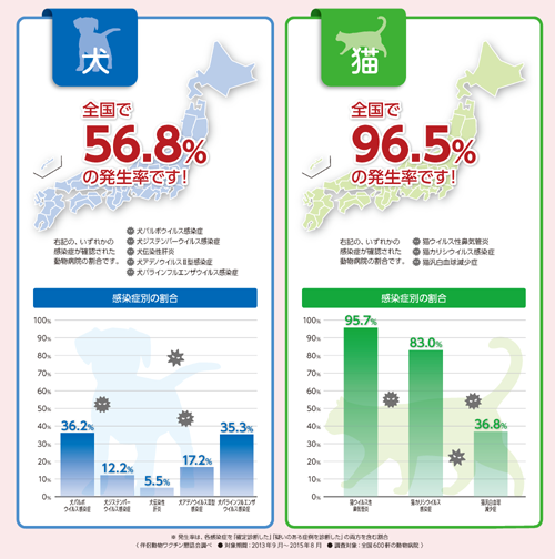 ノミ・マダニ予防  アイビーペットクリニック 大和市中央林間の動物 