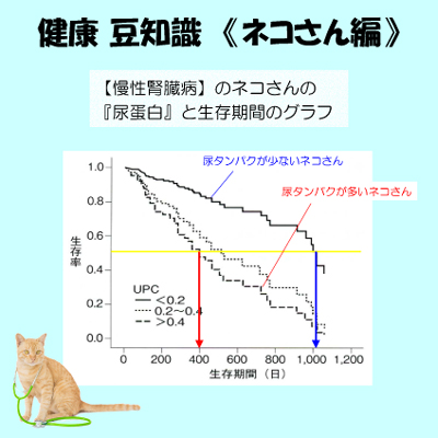 病気のご案内 ページ 2 アイビーペットクリニック別館