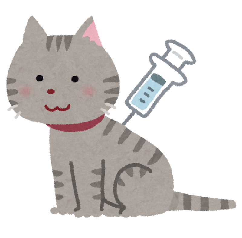ネコちゃんのワクチン接種 アイビーペットクリニック別館